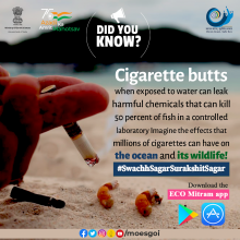 Did You Know